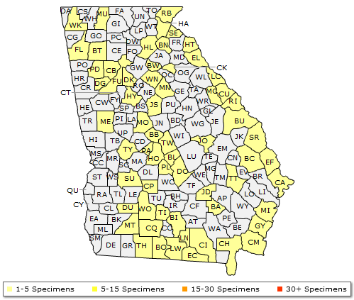 The range of Prunus angustifolia